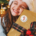 Personalised Santa Deer Waterproof Stickers Name Labels DIY Gift Decoration Christmas Festival Party Favors for Family Friends