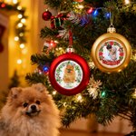Personalized Christmas Wreath Photo Christmas Ball Ornament with Name Home Tree Decor Christmas Gift for Family Friend Pet Owners