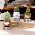 Personalised Crochet Emotional Support Cactus Name Pin Cushion with Magnetic Storage Box Sewing Supplies Gift for Quilting Sewing Enthusiasts