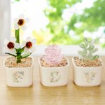 Cactus Succulent Artificiel Personnalisé Plantes en Pot en Verre Teinté avec Initiales Décor Bureau Etagère Cadeau d'Anniversaire pour les Enthousiastes des Plantes Tueuses