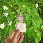 Cactus Succulent Artificiel Personnalisé Plantes en Pot en Verre Teinté avec Initiales Décor Bureau Etagère Cadeau d'Anniversaire pour les Enthousiastes des Plantes Tueuses