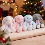 Personalized God Says Bible Stuffed Plush Rabbit Bunny Toy with Name and Letters Christmas Birthday Gift for Kids