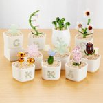 Cactus Succulent Artificiel Personnalisé Plantes en Pot en Verre Teinté avec Initiales Décor Bureau Etagère Cadeau d'Anniversaire pour les Enthousiastes des Plantes Tueuses