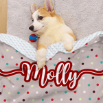 Personalisierte Multicolor Polka Dots weiche Haustier Decke mit Pet Name Home Decor Geburtstagsgeschenk für Tierbesitzer