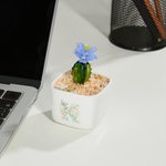 Cactus Succulent Artificiel Personnalisé Plantes en Pot en Verre Teinté avec Initiales Décor Bureau Etagère Cadeau d'Anniversaire pour les Enthousiastes des Plantes Tueuses