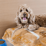 Personalized Cute 3D Cartoon Pet Multicolor Soft Throw Blanket with Name Pet Birthday Anniversary Gift for Pet Lovers