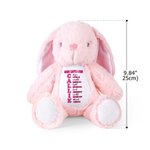 Personalized God Says Bible Stuffed Plush Rabbit Bunny Toy with Name and Letters Christmas Birthday Gift for Kids