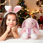 Personalized God Says Bible Stuffed Plush Rabbit Bunny Toy with Name and Letters Christmas Birthday Gift for Kids