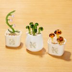 Cactus Succulent Artificiel Personnalisé Plantes en Pot en Verre Teinté avec Initiales Décor Bureau Etagère Cadeau d'Anniversaire pour les Enthousiastes des Plantes Tueuses
