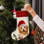 Personalized Santa Hat Plaid Oil Painting Photo Candy Christmas Stocking with Name Christmas Decor Party Gift for Pet Lovers