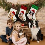 Personalized Santa Hat Plaid Oil Painting Photo Candy Christmas Stocking with Name Christmas Decor Party Gift for Pet Lovers