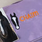 Personalised Multi-Compartment Embroidered Horse Face Waterproof Travel Bag with Name and Shoulder Strap Equestrian Game Day Gift for Horse Lovers