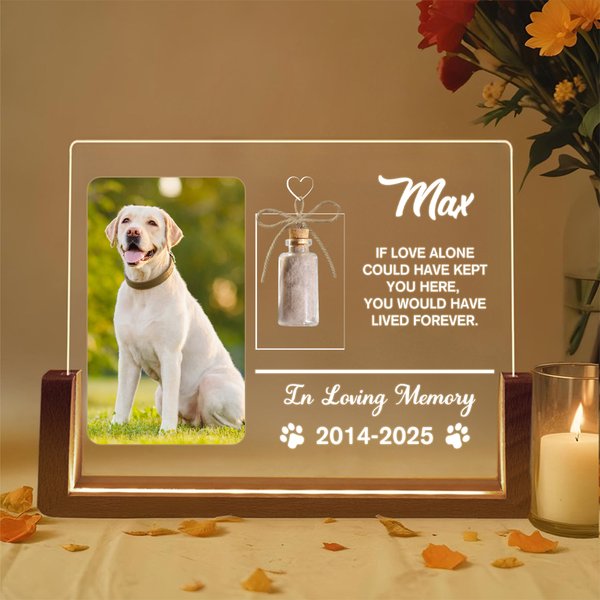 Personalized Pet Photo Fur Keepsake Name Acrylic LED Night Light with Glass Bottle and Wooden Base Christmas Memorial Gift for Pet Lovers