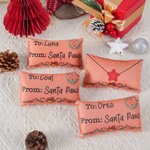 Gepersonaliseerd Kerstmis Enveloppe Bell Kattenspeelgoed met Kattenkruid en Naam Kat Kerstfeest Geschenk voor Katteneigenaar Liefhebber