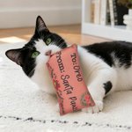 Gepersonaliseerd Kerstmis Enveloppe Bell Kattenspeelgoed met Kattenkruid en Naam Kat Kerstfeest Geschenk voor Katteneigenaar Liefhebber