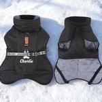 Personalized Cute Bone Star Design Pet Winter Windproof Jacket with Name Pet Party Birthday Gift for Pet Owners