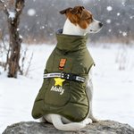 Personalized Cute Bone Star Design Pet Winter Windproof Jacket with Name Pet Party Birthday Gift for Pet Owners
