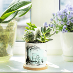 Personalized Classic Winnie the Pooh Ceramic Plant Pot with Bamboo Base and Text Classroom Decor Teacher's Day Birthday Gift for Teacher