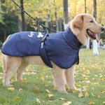 Personalized Cute Bone Star Design Pet Winter Windproof Jacket with Name Pet Party Birthday Gift for Pet Owners