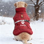 Personalized Cute Bone Star Design Pet Winter Windproof Jacket with Name Pet Party Birthday Gift for Pet Owners