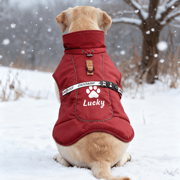 Personalized Cute Bone Star Design Pet Winter Windproof Jacket with Name Pet Party Birthday Gift for Pet Owners