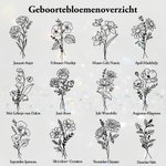 Gepersonaliseerde Ketting met Geboortebloem en Fotomedaillon Gegraveerde Naam Verjaardag- en Jubileumcadeau voor Dames