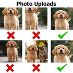 Personalised Funny 1-3 Face Photos Christmas Hat Comfortable Mid-Calf Socks Daily Use Christmas Gift for Couples Family Pet Owners