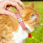 Personalized Paw Bone Heart Adjustable Braided Pet Collar with Name Tassel and Rope Daily Use Pet Birthday Anniversary Gift for Pet Owner Lover