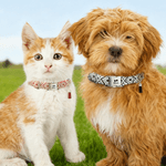 Personalized Paw Bone Heart Adjustable Braided Pet Collar with Name Tassel and Rope Daily Use Pet Birthday Anniversary Gift for Pet Owner Lover