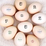 Personalized Farm Name and Initial Safe Egg Stamp with Food Grade Ink and Wooden Box Birthday Christmas Gift for Family Farmer Breeder