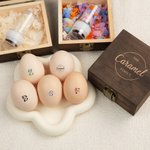Personalized Farm Name and Initial Safe Egg Stamp with Food Grade Ink and Wooden Box Birthday Christmas Gift for Family Farmer Breeder