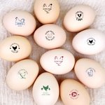 Personalized Hen Silhouette Petal Egg Safe Egg Stamp with Food Grade Ink and Wooden Box Birthday Christmas Gift for Family Farmer Breeder