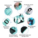 Personalized Heart Bone Fish Signage Pet Chest Harness with Name Outdoor Activities Birthday Gift for Pet Owners