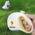 Personalized Cute 3D Cartoon Dog Leash with Name Outdoor Accessories Pet Party Christmas Birthday Gift for Pet Owners