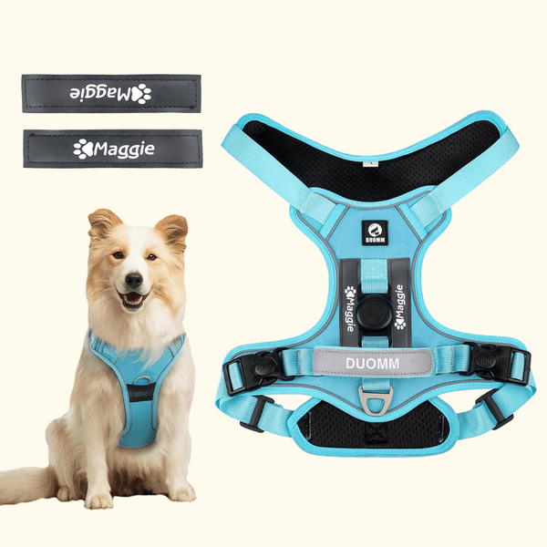 Cuore personalizzato osso di pesce segno Pet Chest Harness con nome Attività all'aperto regalo di compleanno per i proprietari di animali domestici