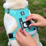 Personalized Heart Bone Fish Signage Pet Chest Harness with Name Outdoor Activities Birthday Gift for Pet Owners