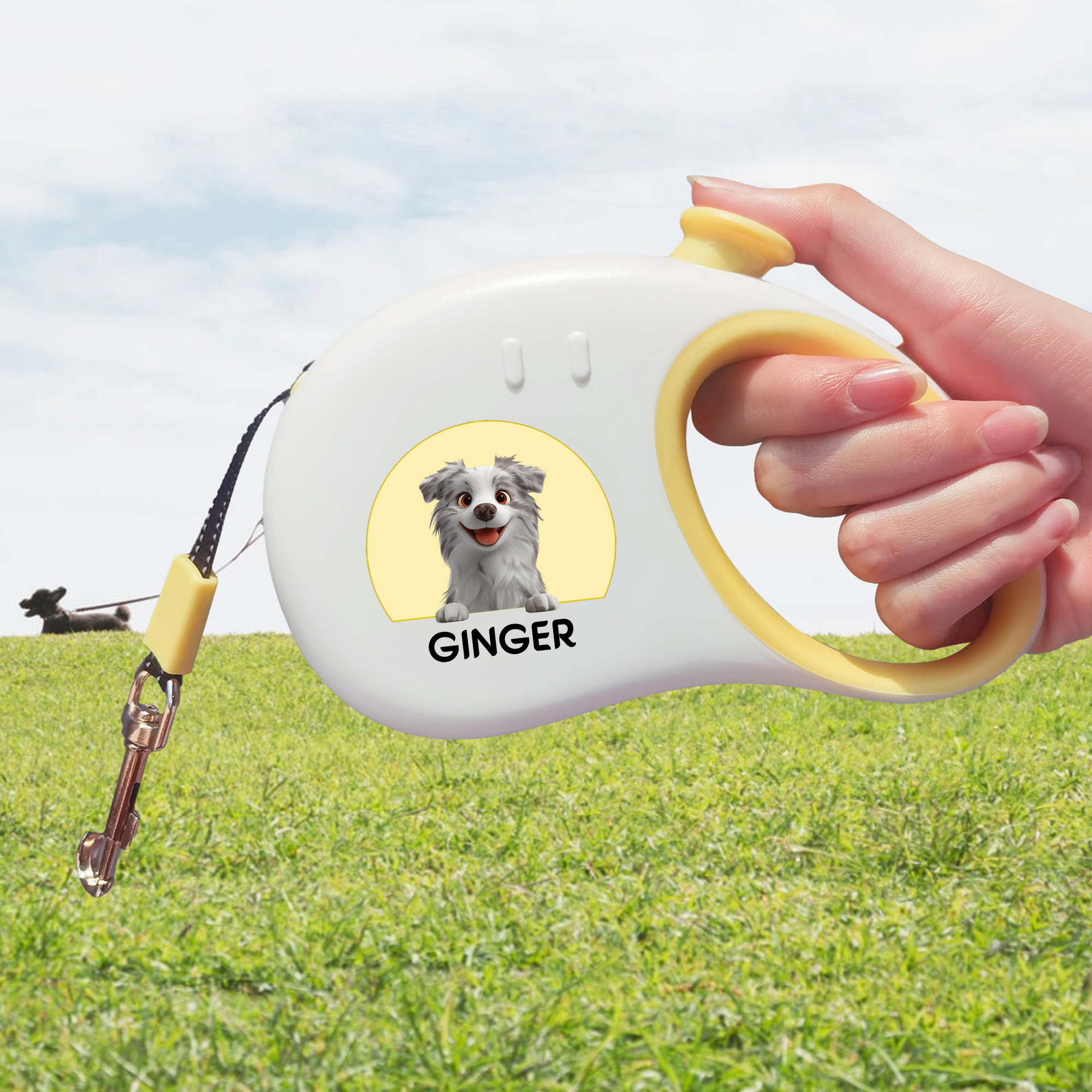 Laisse pour chien personnalisée en 3D avec nom Accessoires d'extérieur Cadeau d'anniversaire de Noël pour les propriétaires d'animaux de compagnie