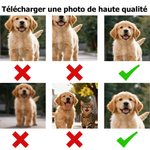 Chaussettes de Noël Mi-Mollet Personnalisées avec 1 à 3 Photos Cadeau de Noël pour Couples Famille et Propriétaires d’Animaux