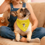 Personalized Christmas Plaid 3D Cute Cartoon Dog Cat Adjustable Pet Bandana with Name and Text Birthday Christmas Gift for Pet Owners