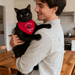 Personalized Christmas Plaid 3D Cute Cartoon Dog Cat Adjustable Pet Bandana with Name and Text Birthday Christmas Gift for Pet Owners