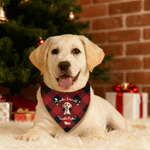 Personalized Christmas Plaid 3D Cute Cartoon Dog Cat Adjustable Pet Bandana with Name and Text Birthday Christmas Gift for Pet Owners