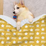 Personalized Multicolor Stars Soft Throw Pet Blanket with Name Pet Birthday Adoption Anniversary Gift for Pet Lovers Owners