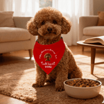 Personalized Christmas Plaid 3D Cute Cartoon Dog Cat Adjustable Pet Bandana with Name and Text Birthday Christmas Gift for Pet Owners