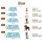Personalized Multicolor 3D Cartoon Dog Cat Soft Pet Mat with Name Pet Birthday Adoption Anniversary Christmas Gift for Pet Lovers Owners