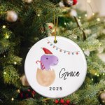 Personalized Dinosaur Christmas Theme Ceramic Ornament with Name Holiday Tree Decor Christmas Gift for Kids Boys