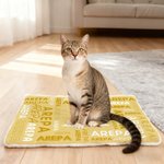 Personalized Multicolor 3D Cartoon Dog Cat Soft Pet Mat with Name Pet Birthday Adoption Anniversary Christmas Gift for Pet Lovers Owners