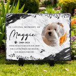 Personalised Pet Memorial Photo Garden Stone with Name and Year Courtyard Decor Pet Keepsake Gift for Pet Owners Garden Lovers