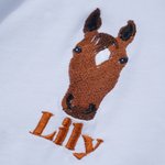 Personalized Cute Horse Face Photo Multicolour T-shirt Sweatshirt Hoodie with Embroidered Name Equestrian Birthday Gift for Horse Lovers