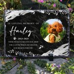 Personalised Pet Memorial Photo Garden Stone with Name and Year Courtyard Decor Pet Keepsake Gift for Pet Owners Garden Lovers