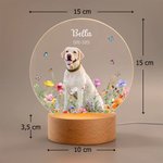 Veilleuse LED Personnalisée avec Nom Date et Photo d'Animal de Compagnie Socle en Bois Cadeau Anniversaire Commémoratif pour Propriétaires d'Animaux